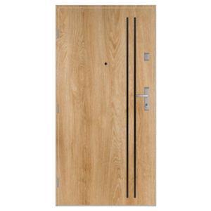 Drzwi Gerda Comfort 60 RC2 30DB TMMB TOKIO 2B INSERT BLACK