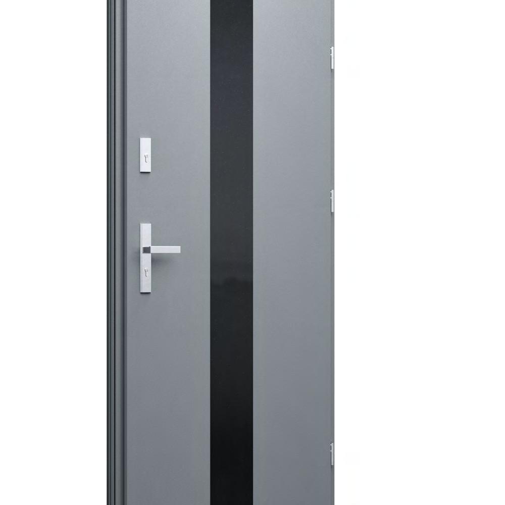 Drzwi WIKĘD Glass Front GF01