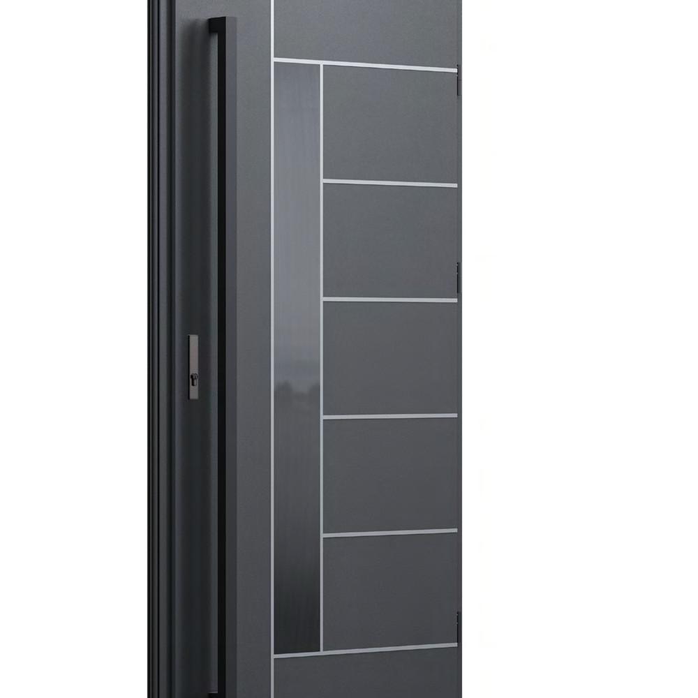 Drzwi WIKĘD Future Inox FI011