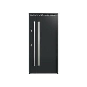 DRZWI GERDA Trewir 7