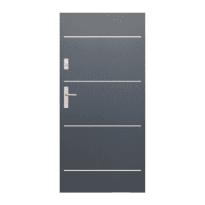 Drzwi WIKĘD Future Inox FI03a