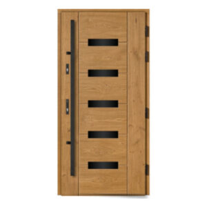 Drzwi DOORSY Predator 2/6 glass