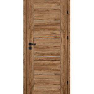 Drzwi CENTURION Inox S5/P