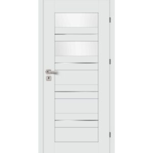 Drzwi CENTURION Inox S5/R
