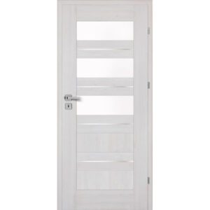 Drzwi CENTURION Inox S5/S