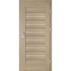Drzwi INTENSO DOORS Lion Steel W-1
