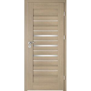 Drzwi INTENSO DOORS Lion Steel W-2