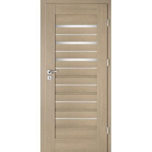Drzwi INTENSO DOORS Lion Steel W-4