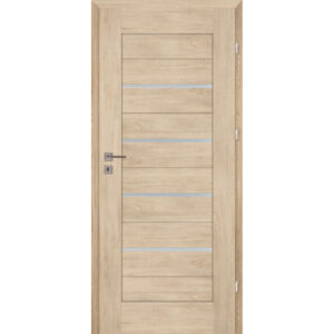 Drzwi CENTURION PARIS PS/D Szybka realizacja!